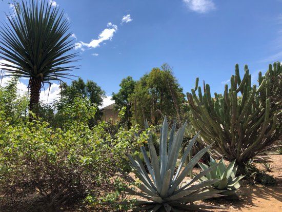 Ethnobotanical Garden